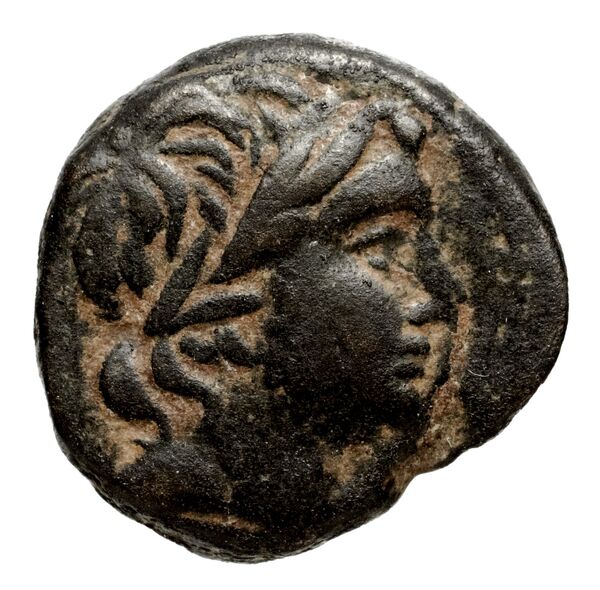 Seleucid Coins (part 1) 1050.1, аверс, bnf-hrc