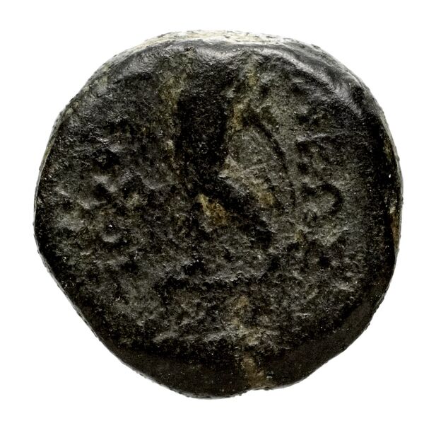 reverse Seleucid Coins (part 1) 1052