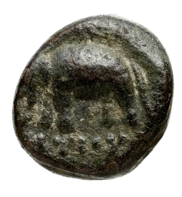 реверс Seleucid Coins (part 1) 979
