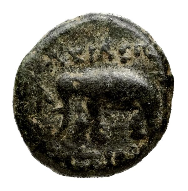 Seleucid Coins (part 1) 979, реверс, bnf-hrc