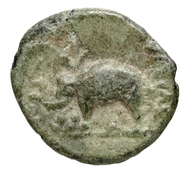 реверс Seleucid Coins (part 1) 981