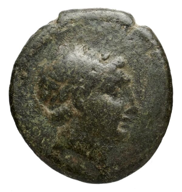Seleucid Coins (part 1) 971.1, аверс, bnf-hrc