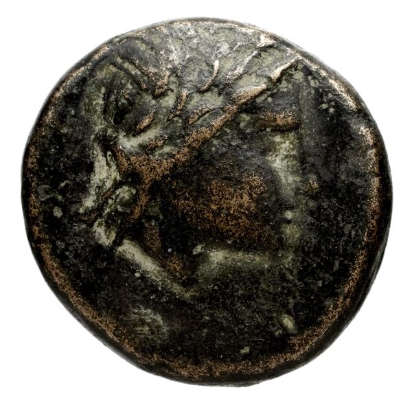 аверс Seleucid Coins (part 1) 973