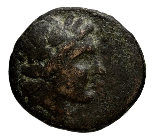 аверс Seleucid Coins (part 1) 974