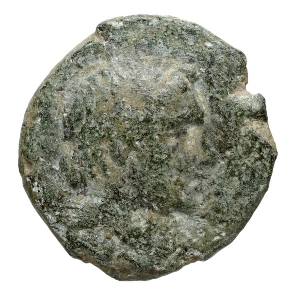 аверс Seleucid Coins (part 1) 975b