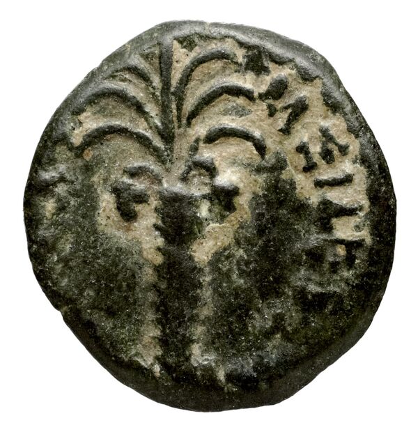 Seleucid Coins (part 1) 1081, реверс, bnf-hrc