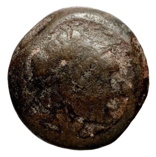 аверс Seleucid Coins (part 1) 1252