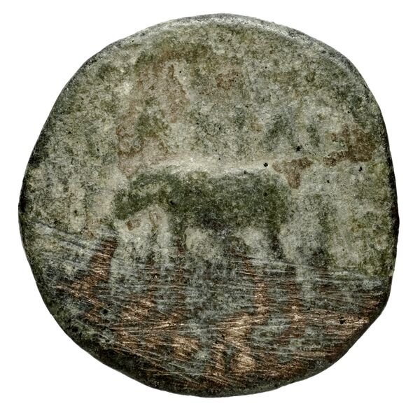 реверс Seleucid Coins (part 1) 1266