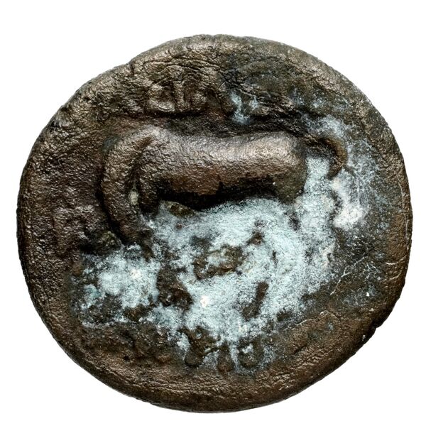 Seleucid Coins (part 1) 1270, реверс, bnf-hrc
