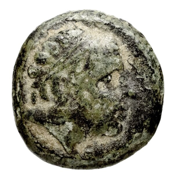 Seleucid Coins (part 1) 1271, аверс, bnf-hrc