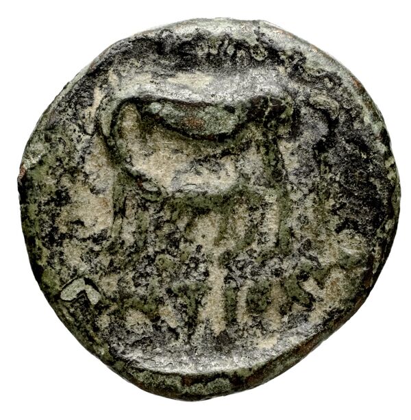 Seleucid Coins (part 1) 1271, реверс, bnf-hrc