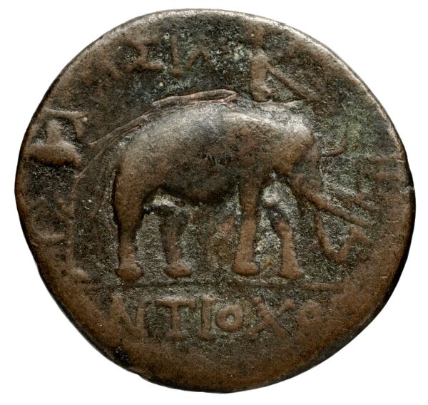 Seleucid Coins (part 1) 1272, реверс, bnf-hrc