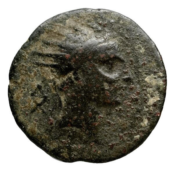 Seleucid Coins (part 2) 1508, аверс, bnf-hrc