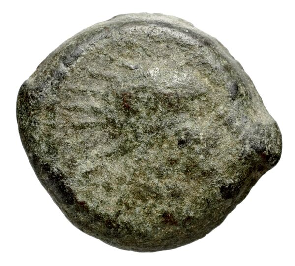Seleucid Coins (part 2) 1509, аверс, bnf-hrc