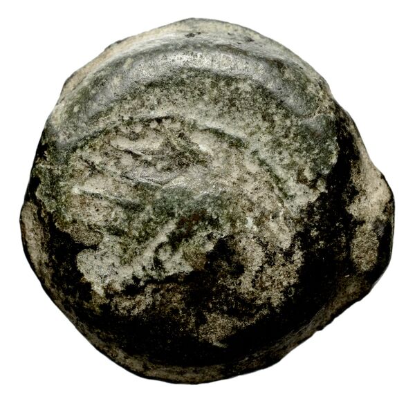Seleucid Coins (part 2) 1509, аверс, bnf-hrc