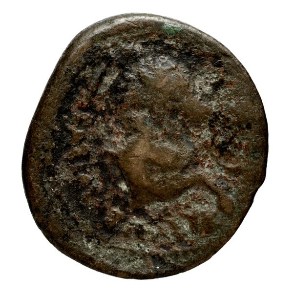 реверс Seleucid Coins (part 1) 269.2