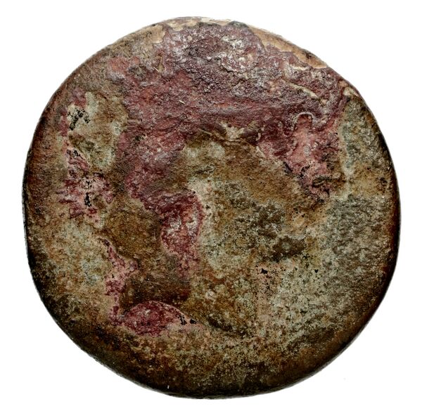 Seleucid Coins (part 1) 381, аверс, bnf-hrc