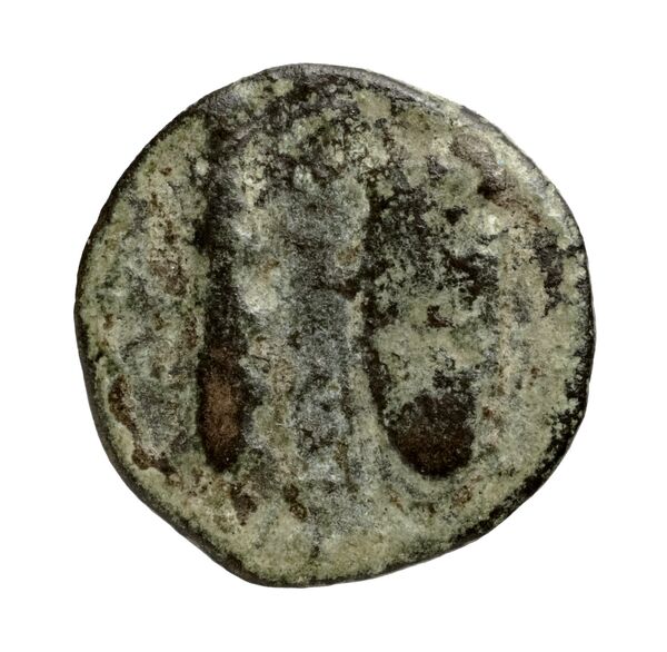 Price 328, реверс, bnf-hrc