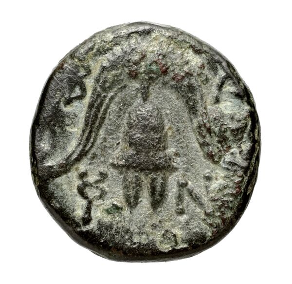 Price 3162, реверс, bnf-hrc