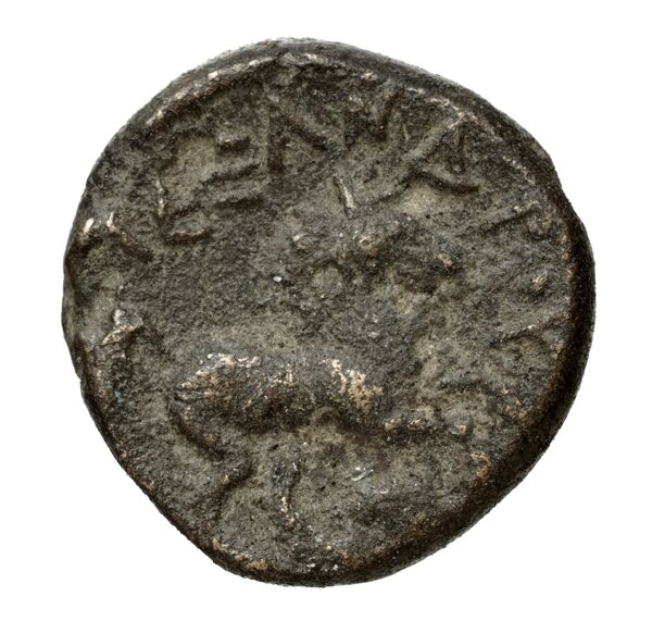 Price 341, реверс, bnf-hrc