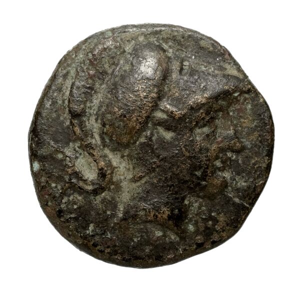 Newell Demetrius Poliorcetes, no. 163, аверс, bnf-hrc