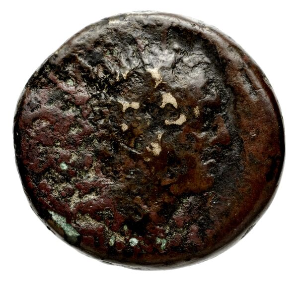 аверс Seleucid Coins (part 2) 1480