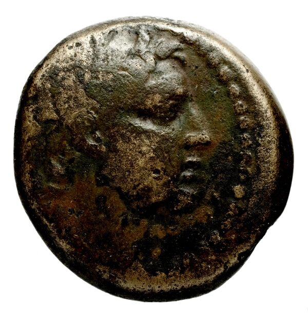 Seleucid Coins (part 2) 1672.1, аверс, bnf-hrc