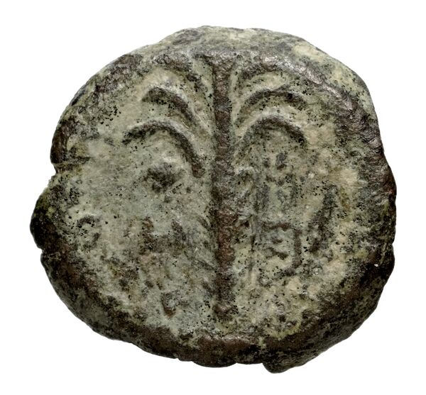 реверс Seleucid Coins (part 2) 1970.2