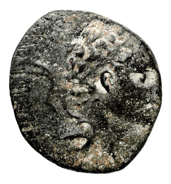 аверс Seleucid Coins (part 2) 1427f