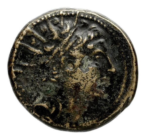 Seleucid Coins (part 2) 1416.2a, аверс, bnf-hrc