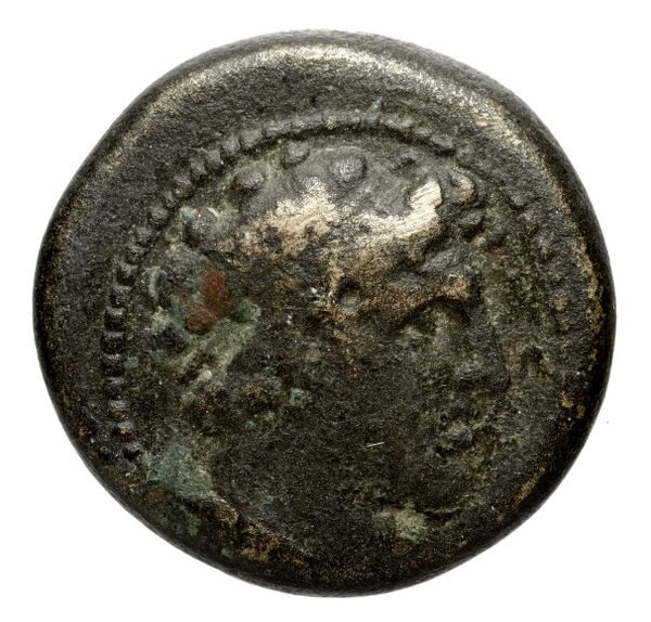 Seleucid Coins (part 2) 1788, аверс, bnf-hrc