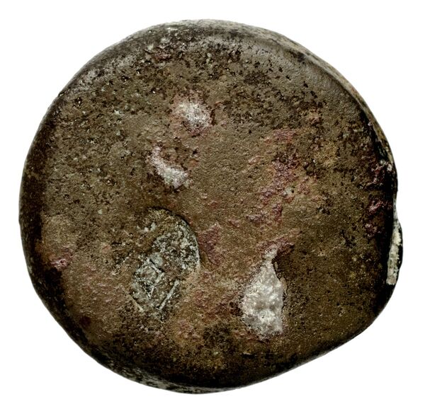 аверс Seleucid Coins (part 2) 2320
