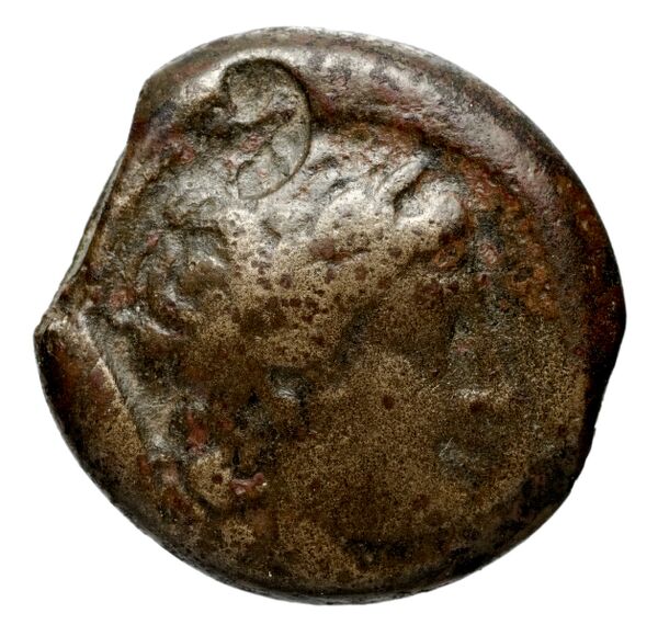 Seleucid Coins (part 1) 15.2, аверс, bnf-hrc