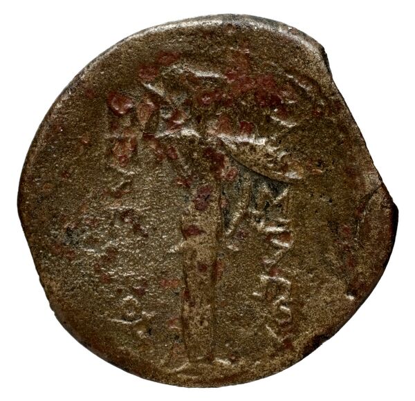 Seleucid Coins (part 1) 15.2, реверс, bnf-hrc