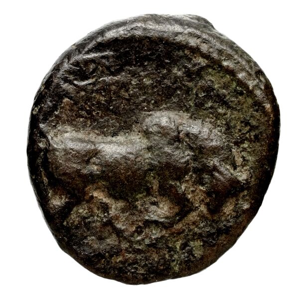 reverse Seleucid Coins (part 1) 22.2b