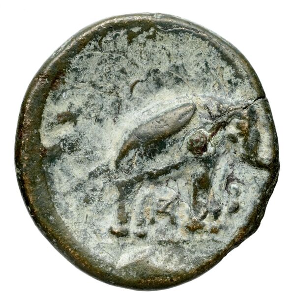 Seleucid Coins (part 1) 129b, реверс, bnf-hrc
