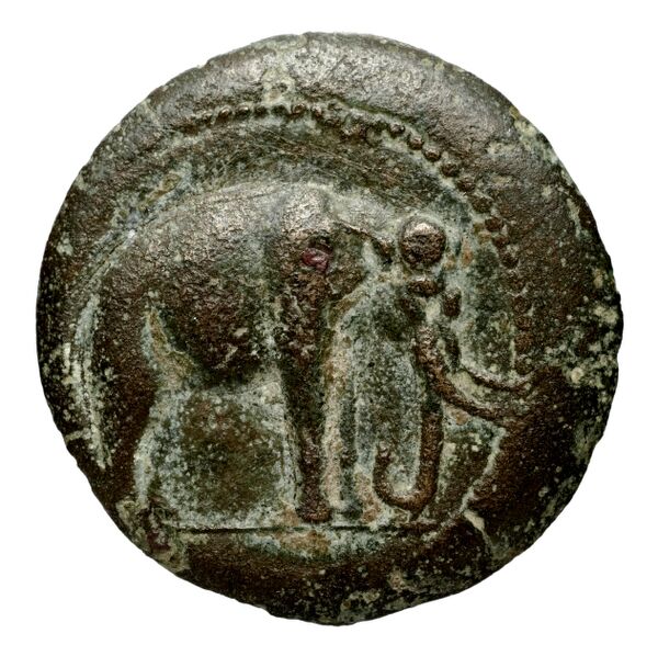 Seleucid Coins (part 1) 35, аверс, bnf-hrc