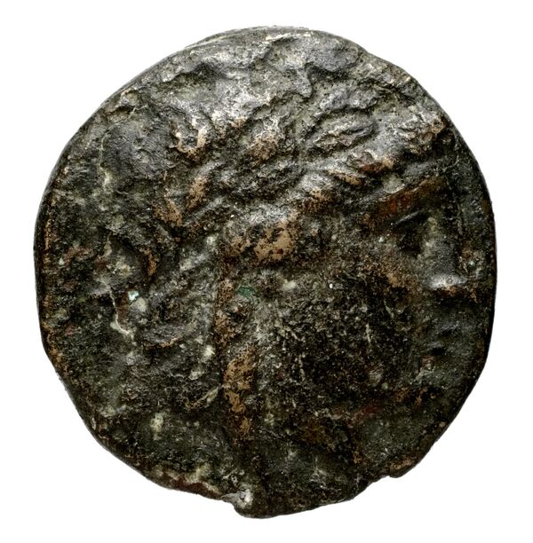 аверс Seleucid Coins (part 1) 538b