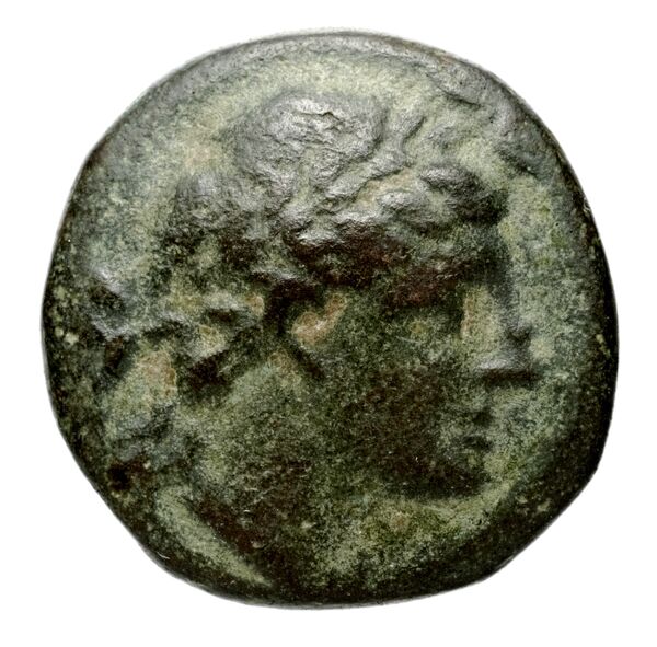 obverse Seleucid Coins (part 1) 575.1c