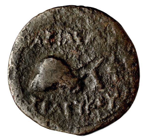 reverse Seleucid Coins (part 1) 753a