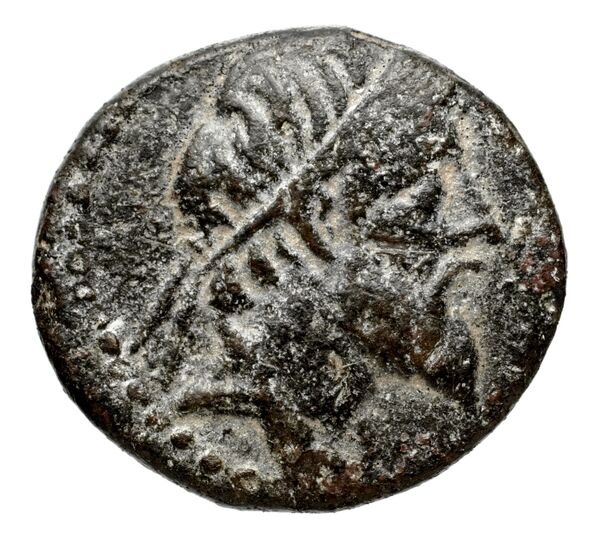 аверс Seleucid Coins (part 1) 712.2