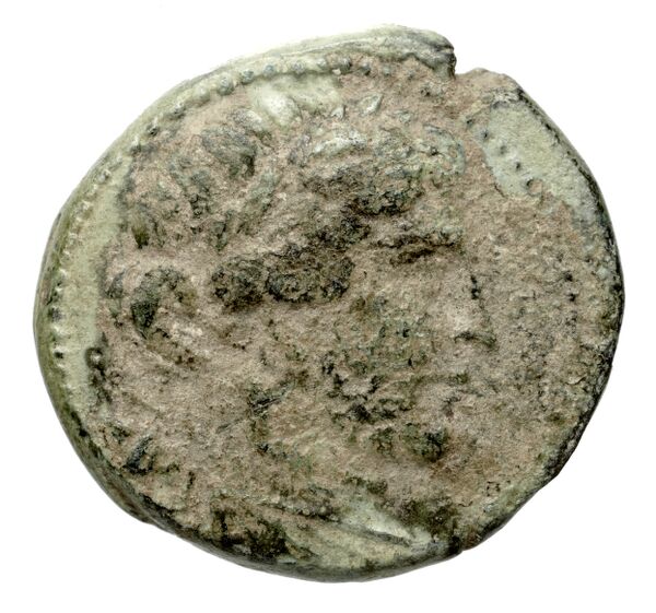 аверс Seleucid Coins (part 1) 706b
