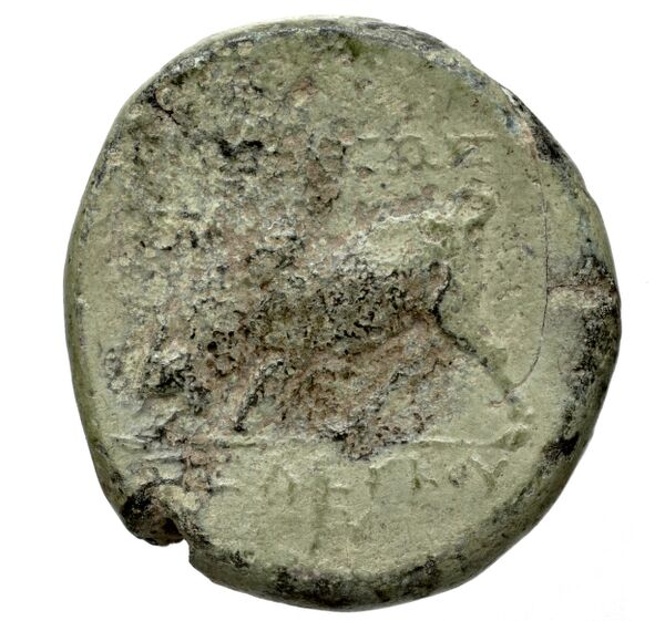 реверс Seleucid Coins (part 1) 706b