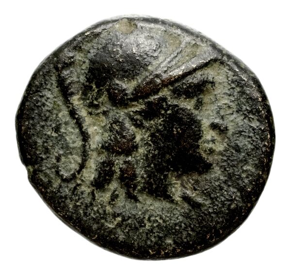 аверс Seleucid Coins (part 1) 662