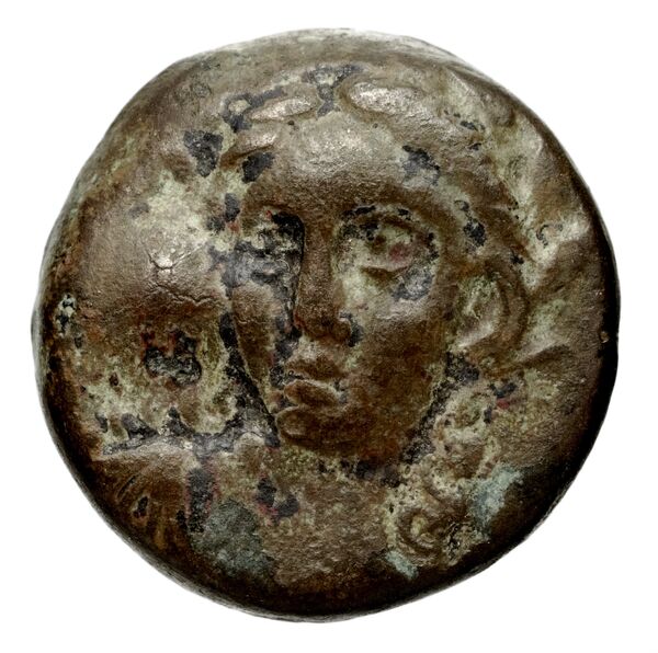 Seleucid Coins (part 1) 771, аверс, bnf-hrc