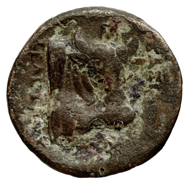 Seleucid Coins (part 1) 771, реверс, bnf-hrc