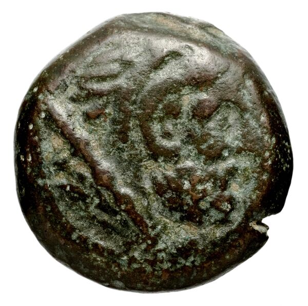 аверс Seleucid Coins (part 1) 825