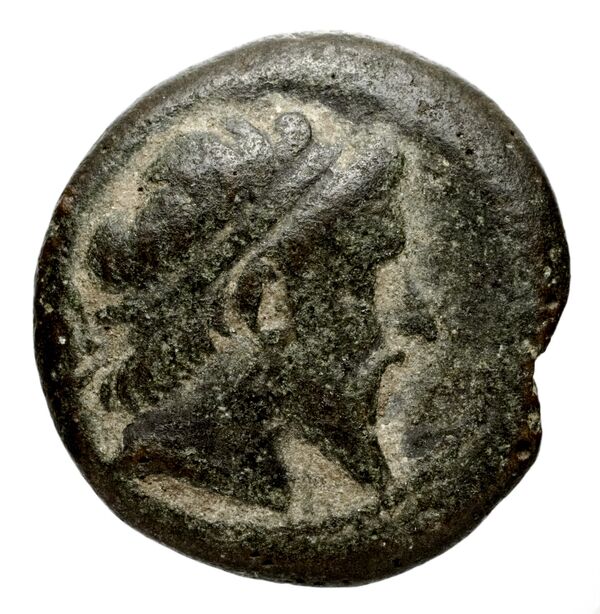 аверс Seleucid Coins (part 1) 823