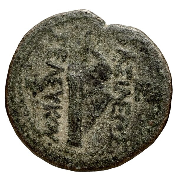 реверс Seleucid Coins (part 1) 823