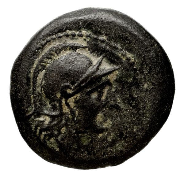Seleucid Coins (part 1) 818, аверс, bnf-hrc
